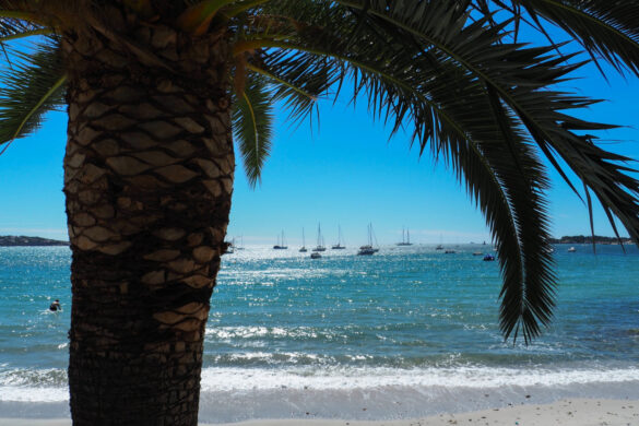 Cote d’Azur – auch nicht grade hässlich