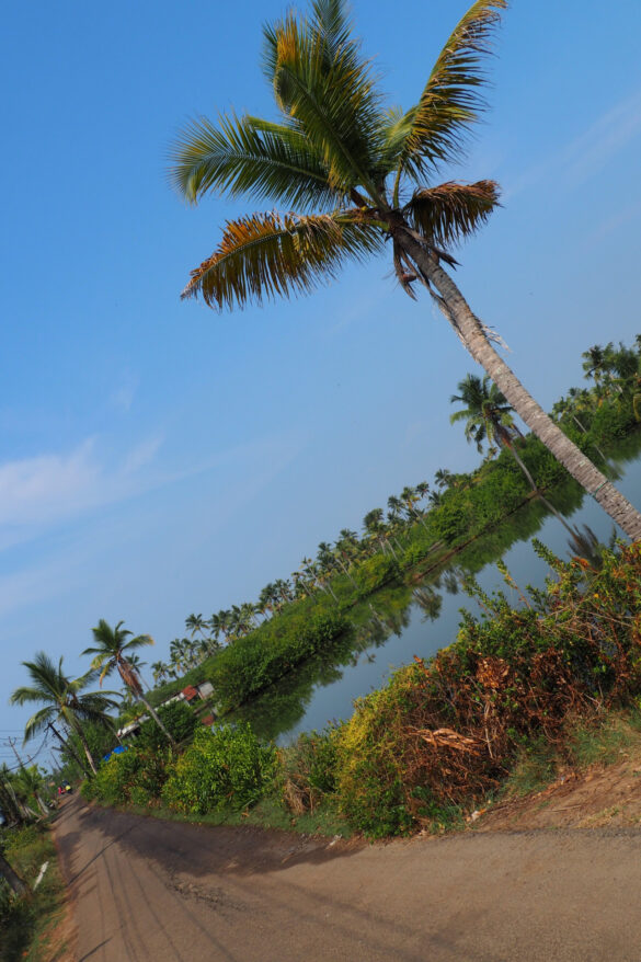 Backwaters etwas nördlich von Kochin.