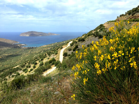 Abfahrt an die Küste auf halber Strecke von Sitia nach Agios Nikolaos.